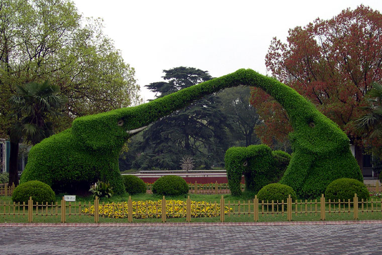 http://www.expo2010china.hu/hirkepek/shanghai_zoo_elephants_expo2010.jpg